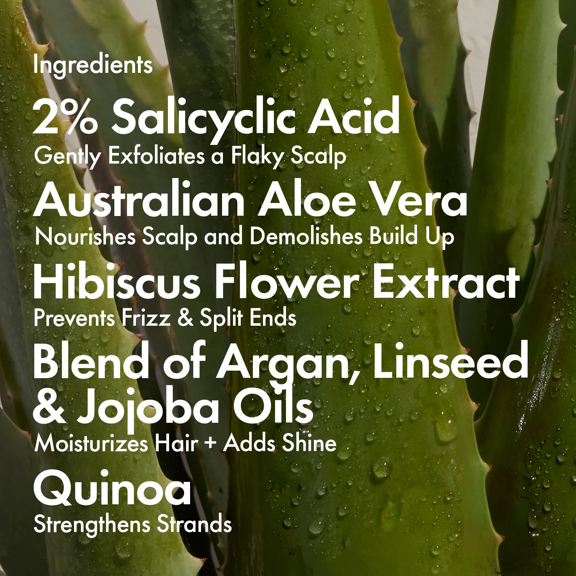 DANDRUFF CONDITIONER - Image 8